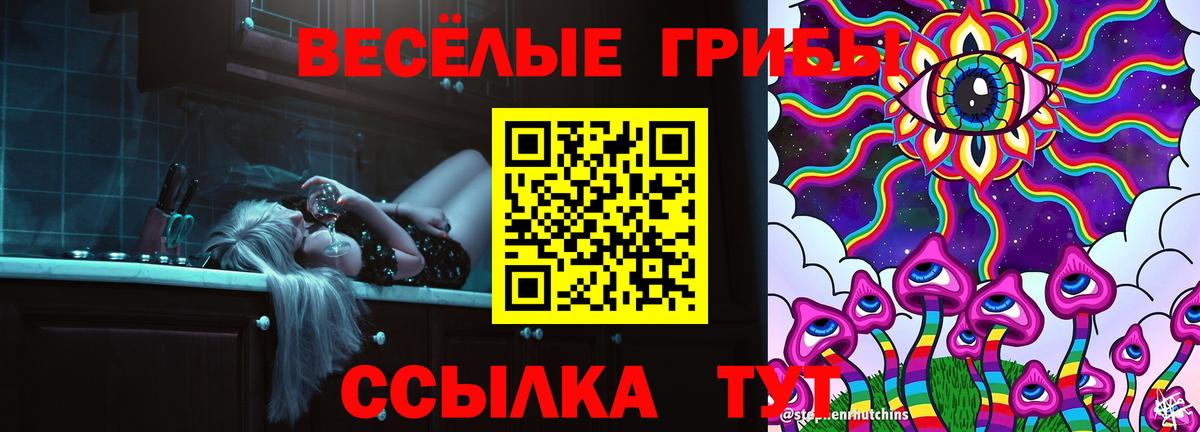 Псилоцибиновые грибы MAGIC MUSHROOMS Тутаев
